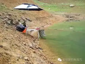 钓鱼人的动手能力真不是盖的,看高手自制收藏级别的竿架
