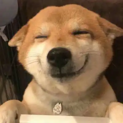 搞笑动物头像
