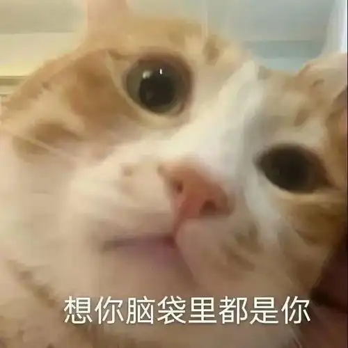 表情包咩嘿嘿
