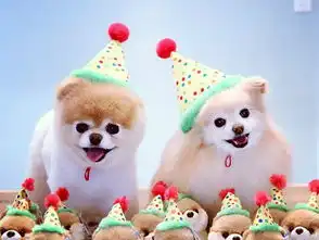 超萌狗狗爱摆拍一秒征服你
