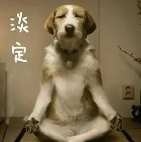 表示吃狗粮的搞笑句子

