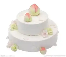 类似这种生日蛋糕双层求图片
