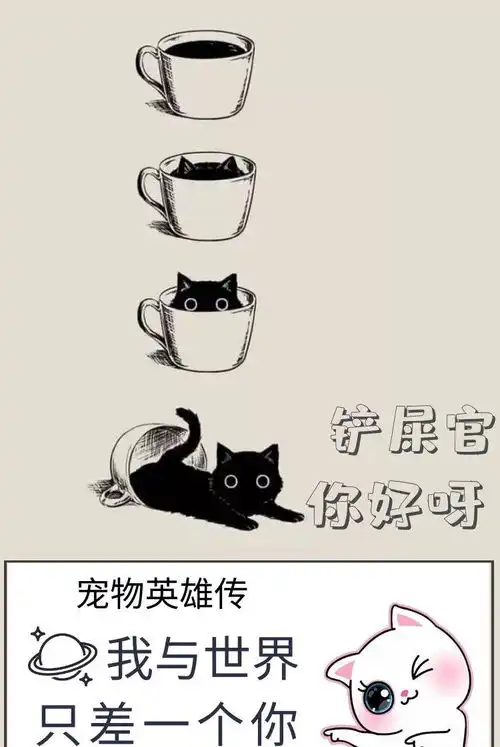 狸花猫受伤无法动弹,主人照顾反加重病情,究竟该怎么做才好
