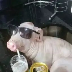 一组搞怪头像
