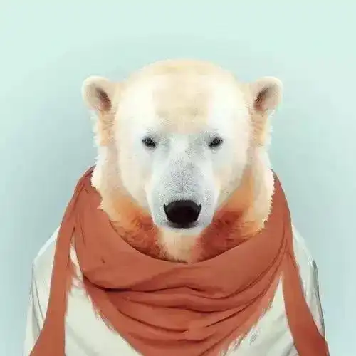 当野生动物穿上人的衣服

