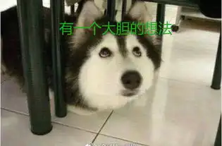 猫咪一手带大的阿拉,诸多古怪行为猫心未泯,已经忘记自己是狗子
