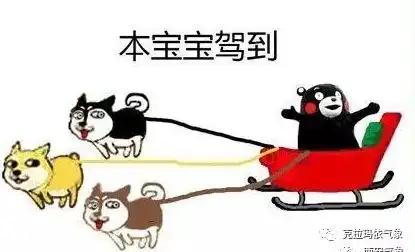 2017的最后一周你被刮飞了吗
