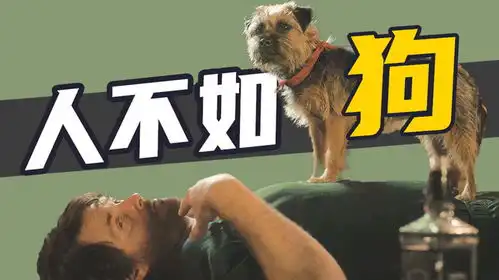 一个人能有多狗狗都忍不了爆笑沙雕片复仇狗联盟