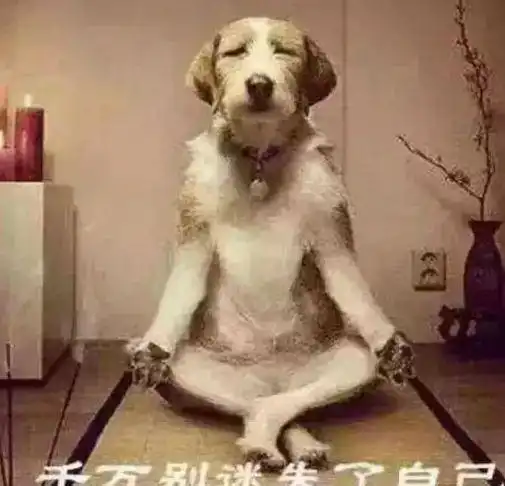 搞笑趣图哥们,手机烂了贴个创可贴管用吗

