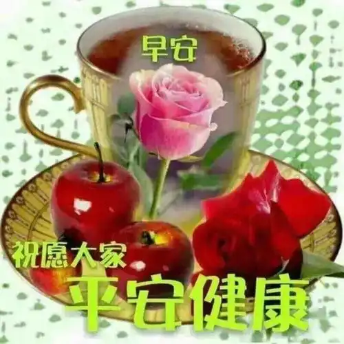 2020早安问候祝福图片唯美带字,早上好暖心问候短信
