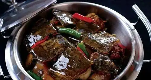 红烧甲鱼最好吃的做法,抓紧给家人露一手吧味道超级棒
