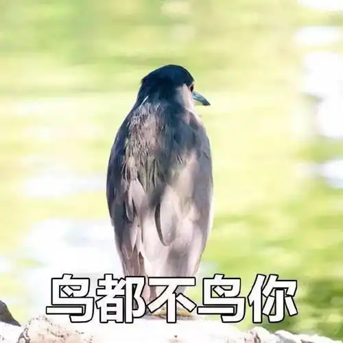 表情包肥胖且自闭
