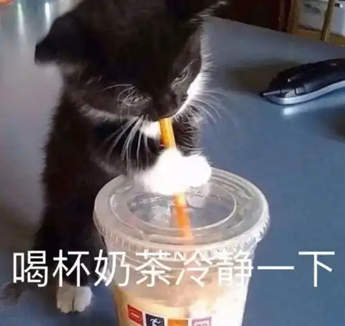 表情包杂七杂八20210611
