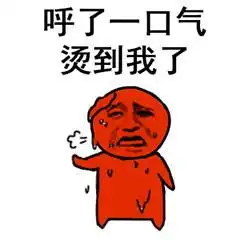 天气好热表情包合集我和烤肉之间只差一撮孜然了