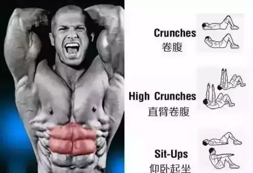 腹肌的不同位置该如何虐6张图解告诉你
