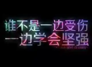 雪狼照片雪狼相册大全yy官方
