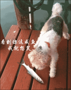 求一部动漫,男的可以把那啥变成剑,但会变成女的,如果剑被折断了,
