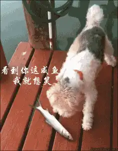 求一部动漫,男的可以把那啥变成剑,但会变成女的,如果剑被折断了,
