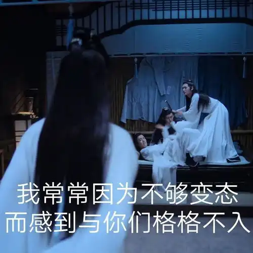 陈情令表情包蓝忘机