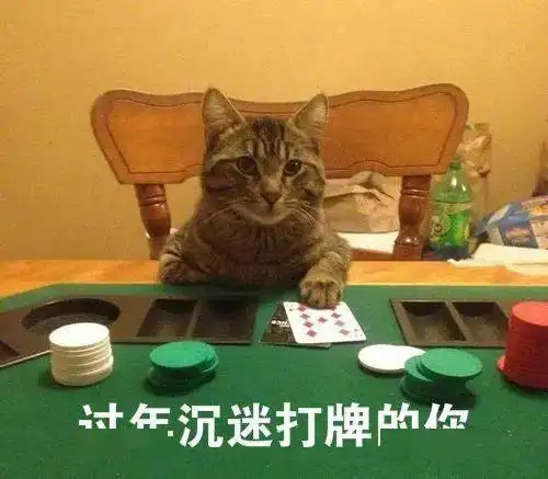 一睁开眼,发现床前有8个相亲对象
