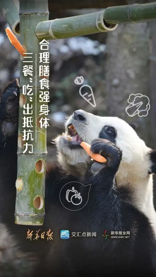 图说抗疫丨这些呆萌又有趣的动物版防疫海报,你get了吗
