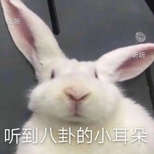 今年,选择二战是优势还是劣势
