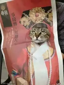 搞笑图片天很热,妹子穿不穿有多大区别呢
