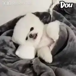 再睡一会儿就行
