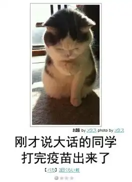 本周囧雷傻缺无聊图389
