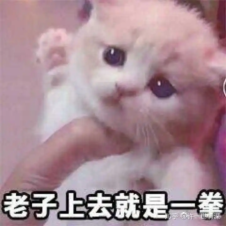 表情表情包大集锦第二弹知乎表情
