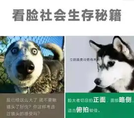 这世界上没有能阻止吃货的脚步
