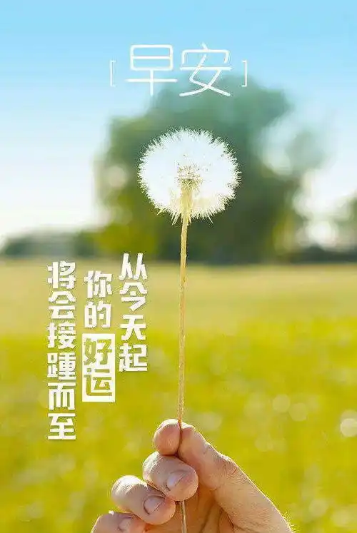6月1日早上发朋友圈激励人心的好句子
