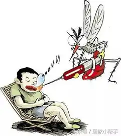 别再傻傻的喷花露水点蚊香了科学驱蚊,让整个夏天不再有蚊子
