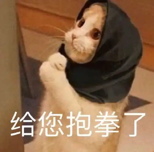最新热门表情包动图片懂事又可爱请珍惜
