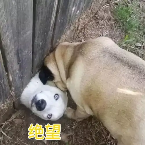 滨州这周狂飙到15紧接着阴雨又来了让人抓狂的还在后面...
