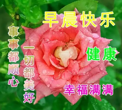 早上好温馨图片最新版句子集最美早安语图片带字唯美