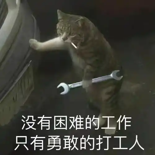 今天周五,而我却舍不得打工人的快乐
