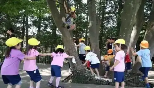 为什么全世界孩子都爱爬树爬树课科普
