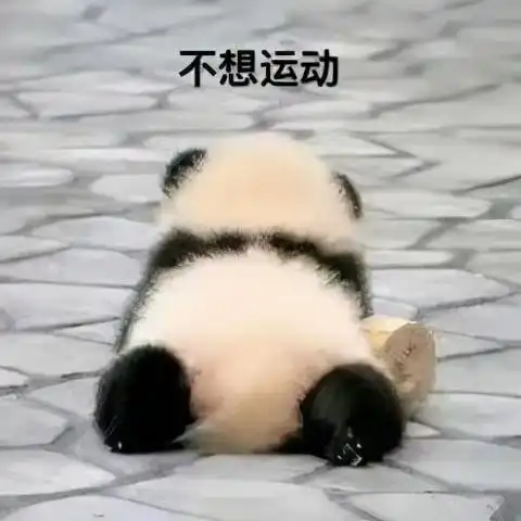 汪小菲大s离婚上热搜,我只关心她月瘦10公斤的减肥法
