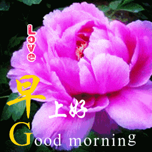 清晨群发早晨好暖心祝福语录,微信早上好问候祝福图片带字
