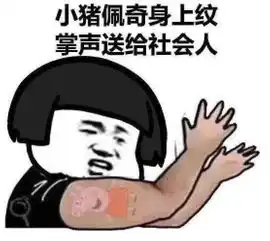 安排一下妈妈要报警抓儿子,论网络流行语的强大
