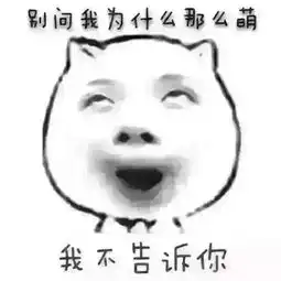 求一些搞笑照片谢谢
