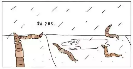 猎奇漫画动物所想的跟人类其实可能很不一样

