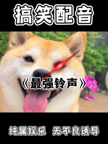 一个字绝搞笑视频搞笑配音
