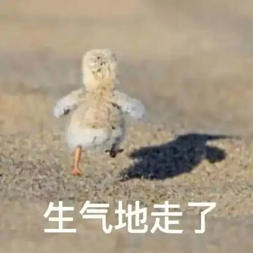 沙雕表情包我早晚拱了你这颗白菜
