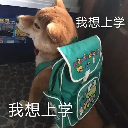 猫咪打架动图猫咪动图打架表情
