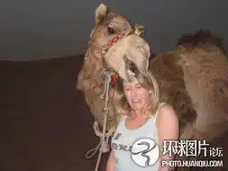 老外恶搞真是太有才了
