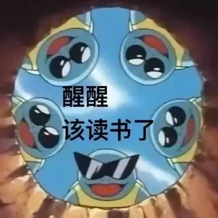 精选表情第五期憨批龟
