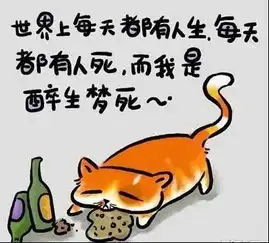 经典的人生歪理歪的很有理
