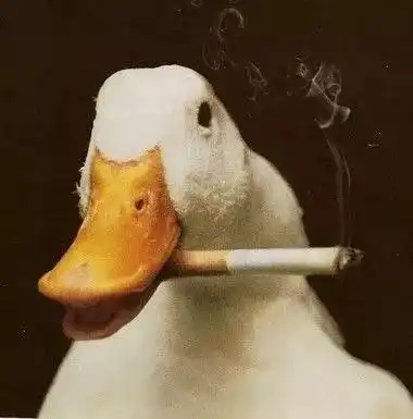 沙雕头像可可爱爱,没有脑袋
